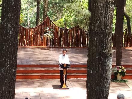 PRESIDEN RI BERKUNJUNG KE HUTAN PINUS MANGUNAN DLINGO